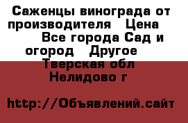 Саженцы винограда от производителя › Цена ­ 800 - Все города Сад и огород » Другое   . Тверская обл.,Нелидово г.
